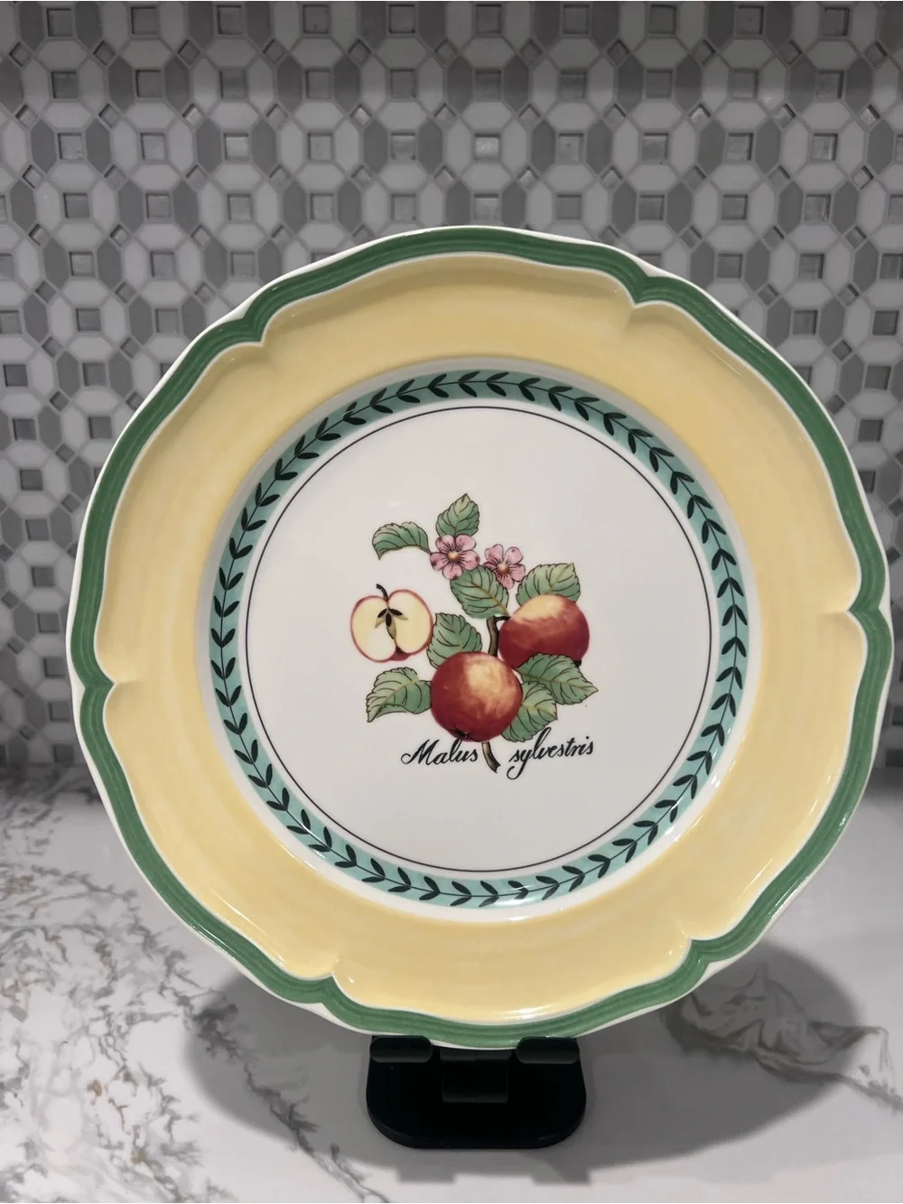 2 Villeroy & Boch French Garden Apple Valence 10.5